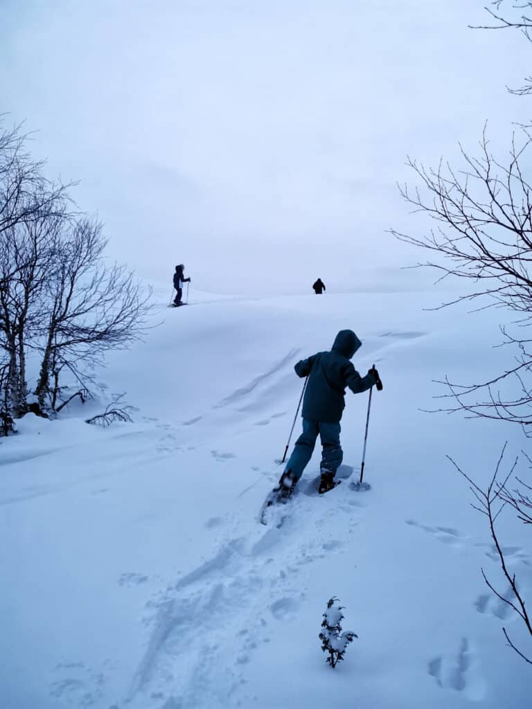 Three people snowshoeing in Hetta Enontekio Lapland.