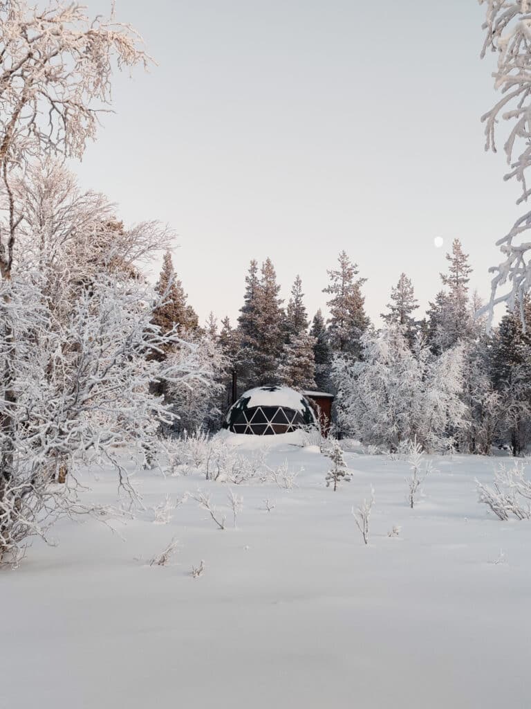 Arctic Nature Glamping in Lapland surrounded by snow covered trees in a winter forest.