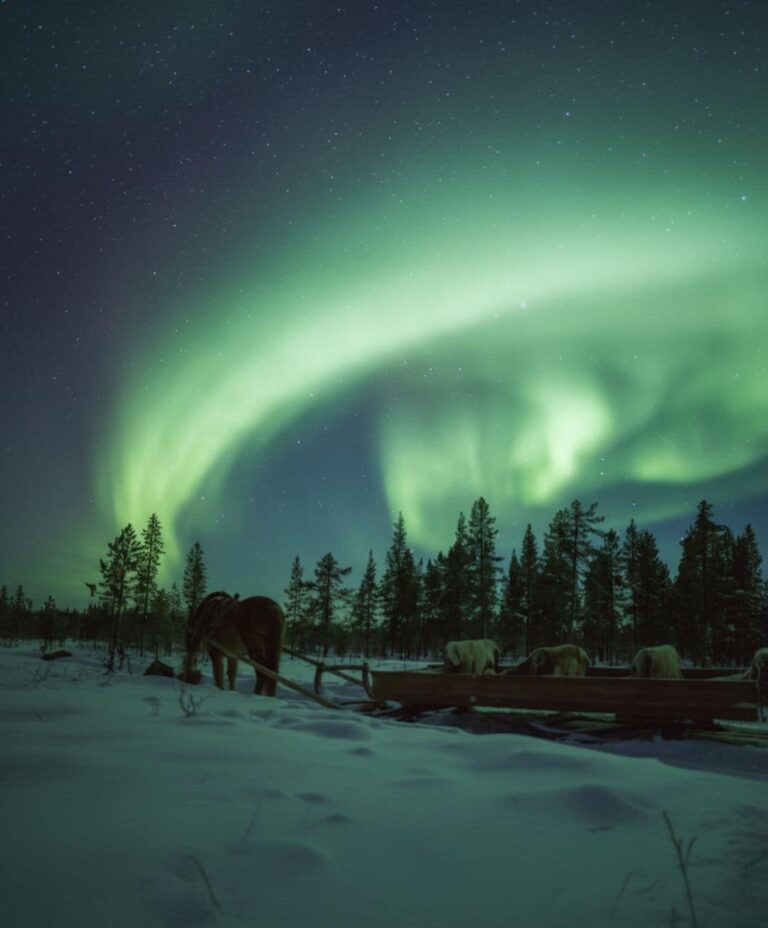 A horse pulling a sleigh under the Aurora Borealis in Enontekio Lapland.